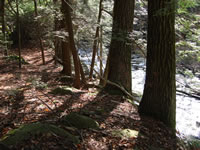 Neversink River